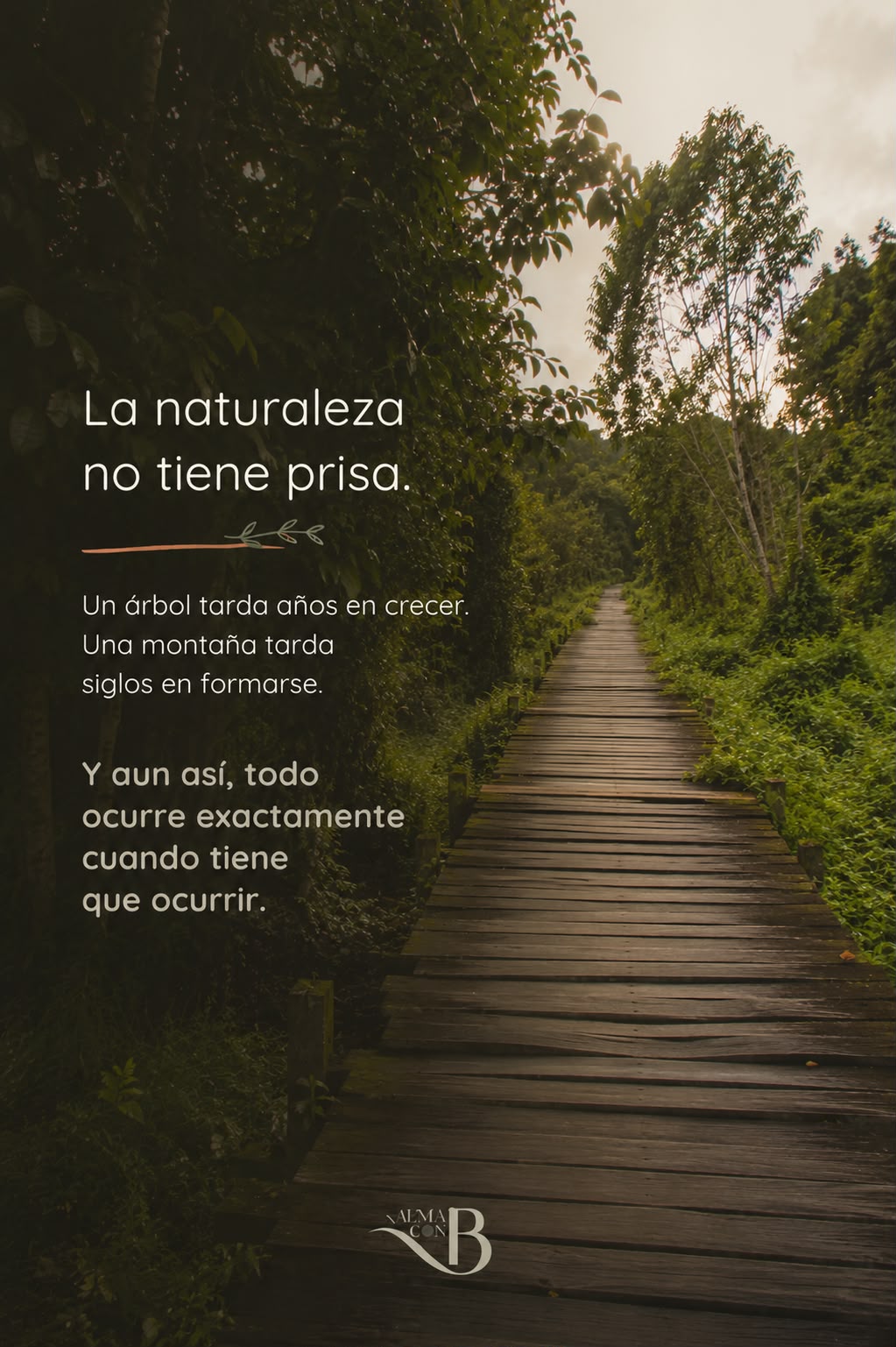 Nunca he visto a un árbol avergonzarse por perder sus hojas